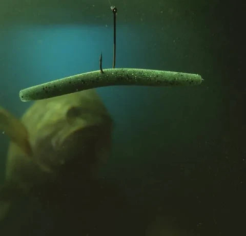 How to fish with a Senko worm HIGHLY effectively