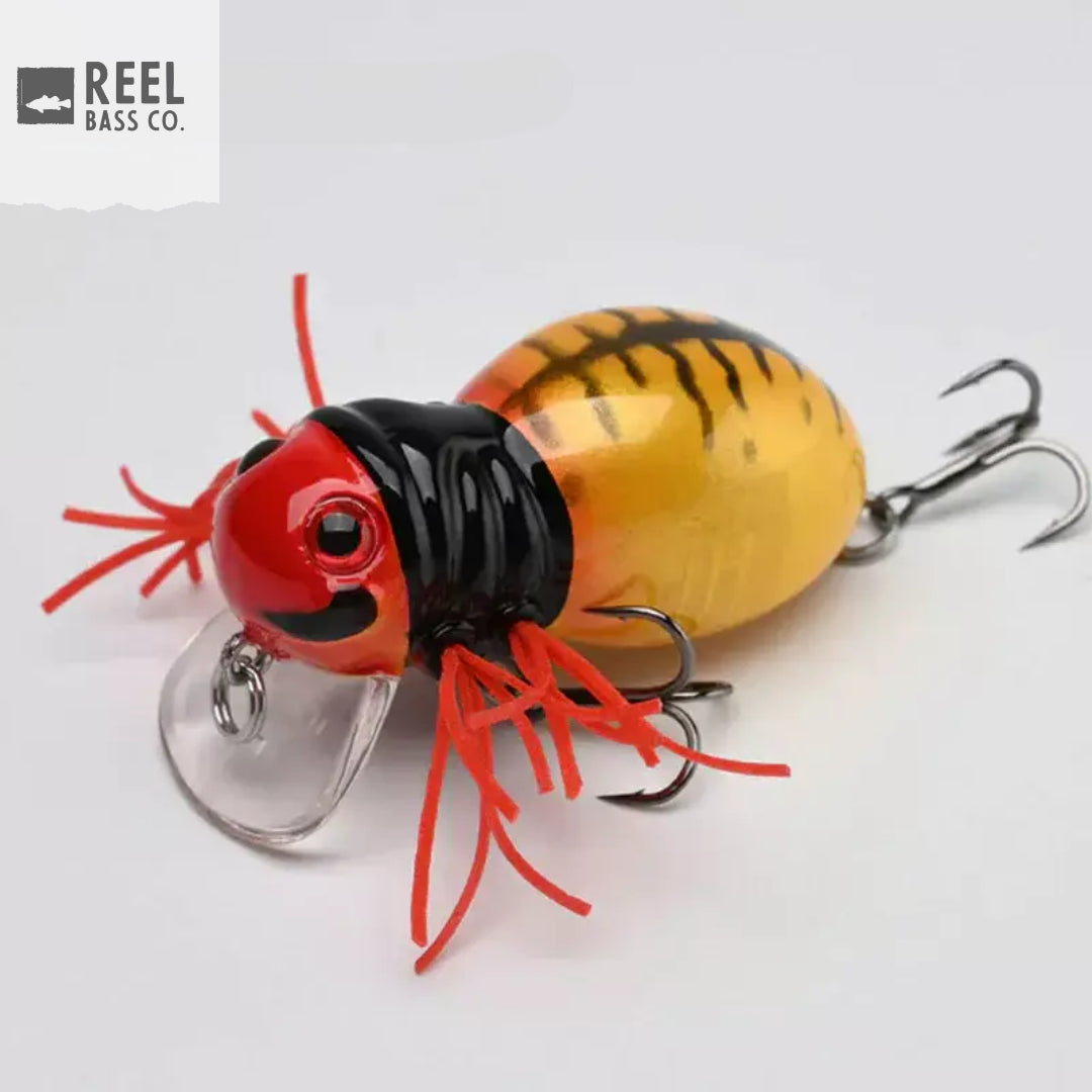 Reel Bass Co. - CHUBBY CHASER Spider Top Water Lure